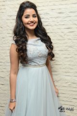 Anupama Parameswaran At Vunnadhi Okate Zindagi Movie Pre Release Function